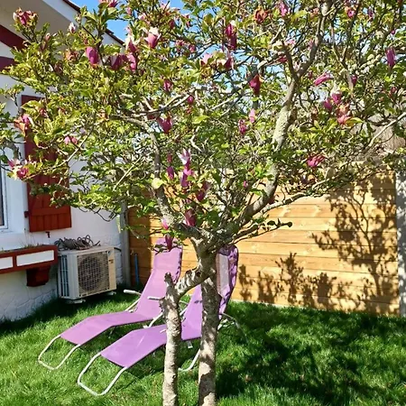 Maison Du Lac. Holiday home